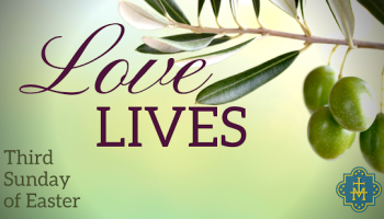 Love Lives: Week 3