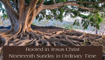 Rooted in Jesus Christ and Sharing that Gift: 19th Sunday