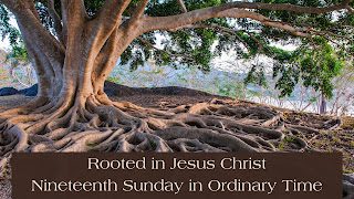 Rooted in Jesus Christ and Sharing that Gift: 19th Sunday