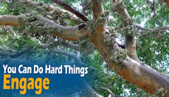 You Can Do Hard Things Wk 3: Engage
