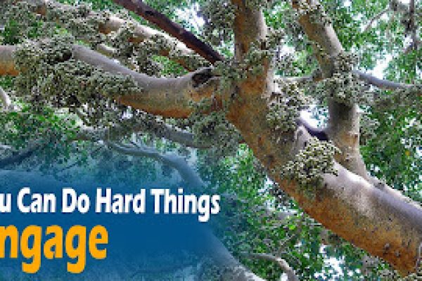 You Can Do Hard Things Wk 3: Engage