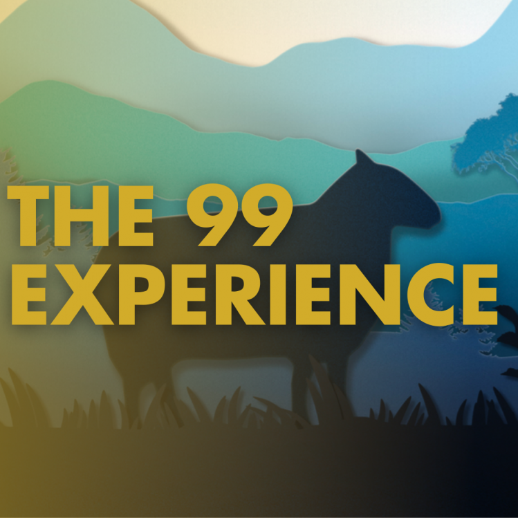The 99 Experience